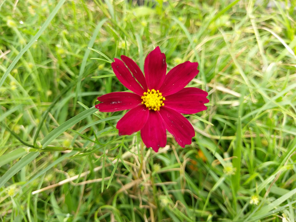 文本直送科技新闻:宏达电旗舰智慧型手机「HTC10」崭新体验，十分完美！