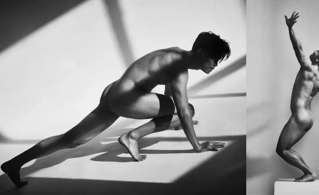 两个黄鹂鸣翠柳一行白鹭来捣乱,两个黄鹂鸣翠柳原版视频