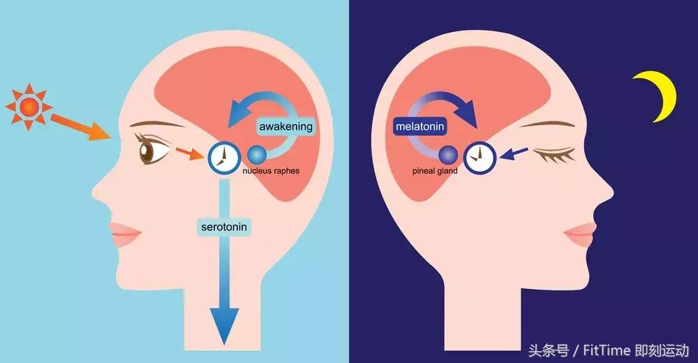 看恐怖片也能减肥,看恐怖片能减肥有推荐的吗