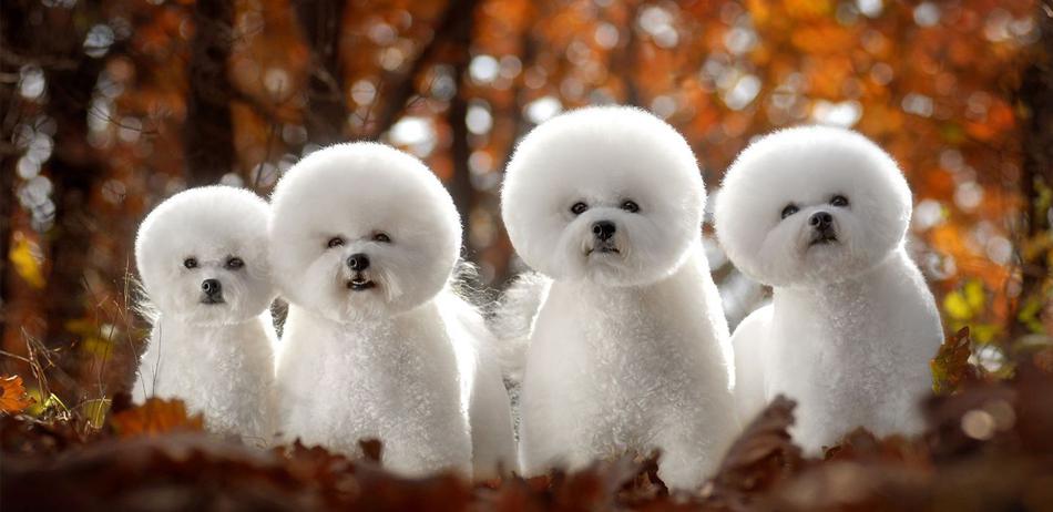 历史上的戊戌年是哪一年,历史上的戊戌年