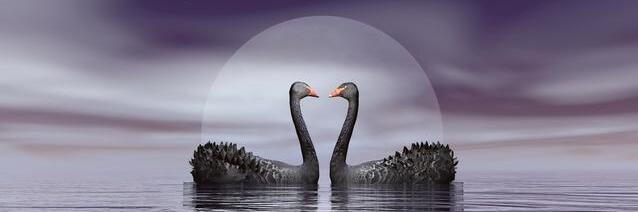 爱的建造周文强,爱的建设