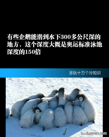 冷知识来了图片,冷知识来了最硬核