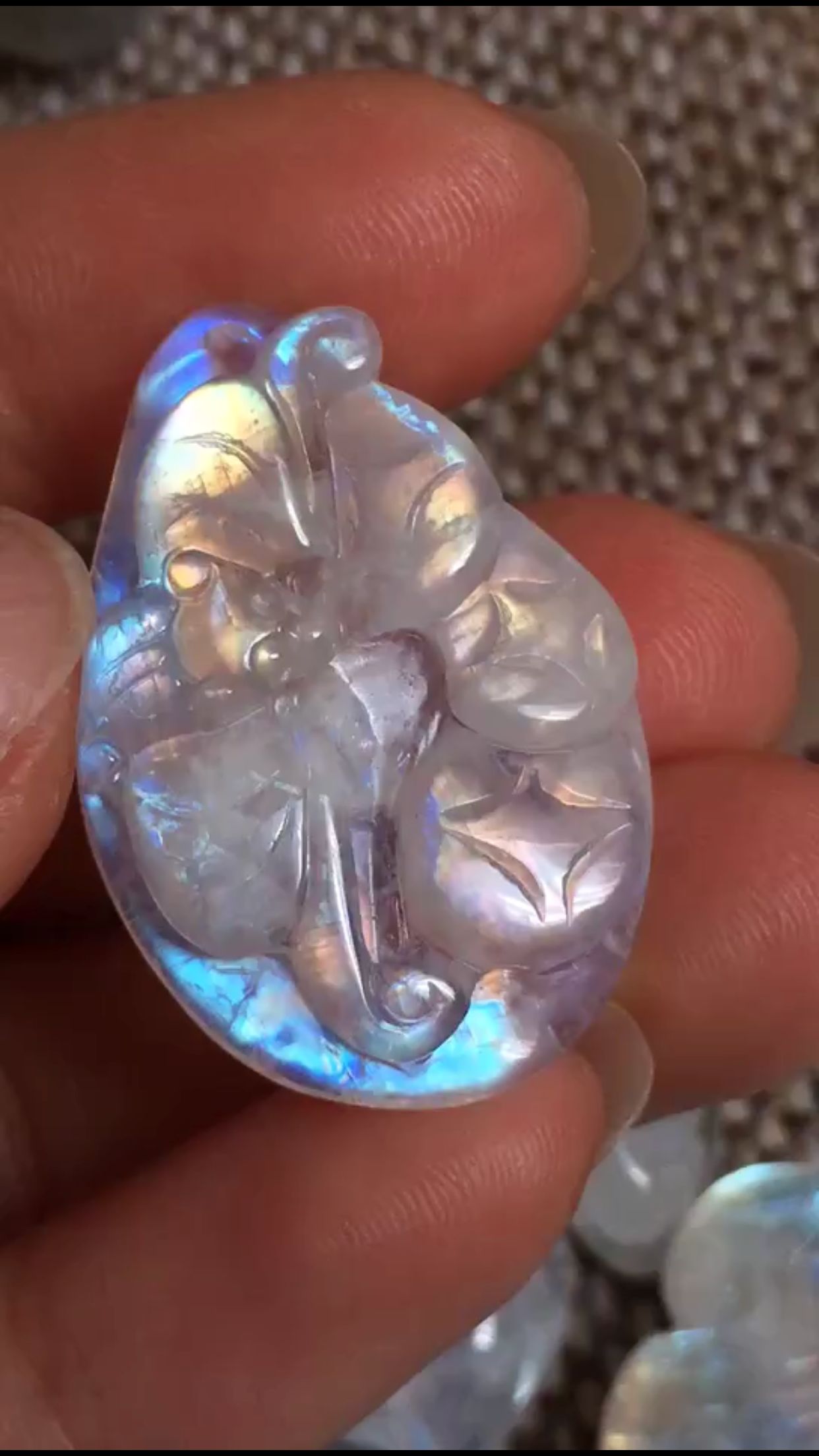 彩虹月光石真的吗 (彩虹月光石戒指)