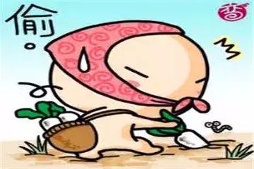 球星都戴的帽子,球星夏天戴什么帽子