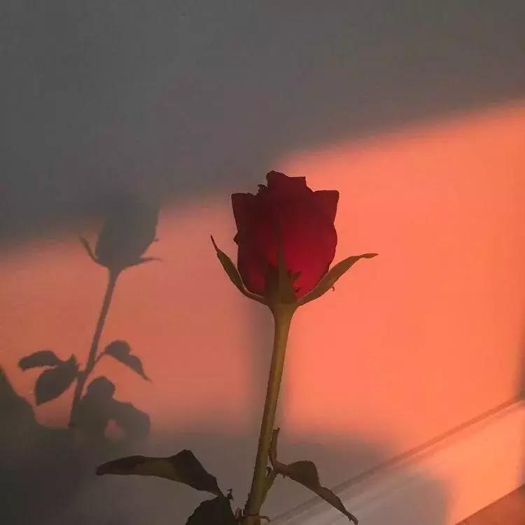 过年面对亲戚们怎么高情商接话,如何应对过年亲戚盘问