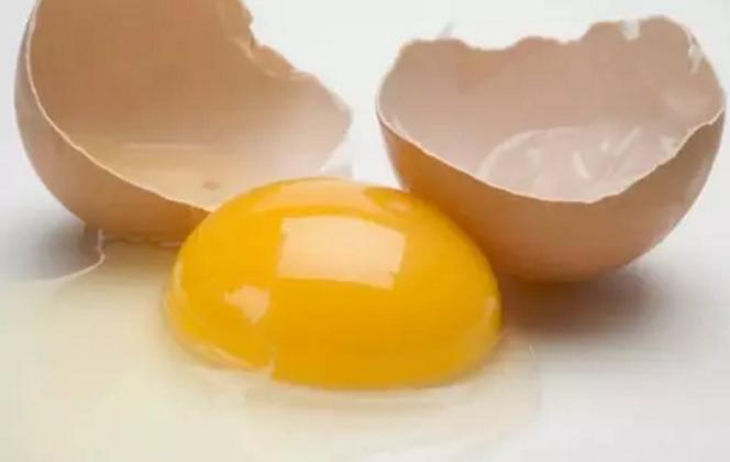 狗吃生毛蛋的好处和危害,狗狗吃生蛋有什么好处