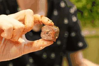 即食鸭脖爆款榜,盐城鸭脖哪家好吃