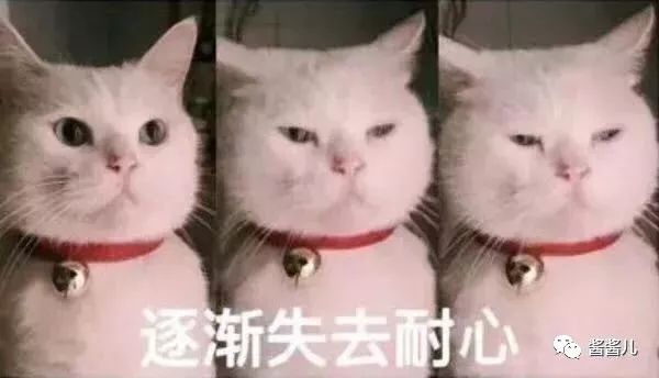 狗年开运最灵的方法,狗年转运大法