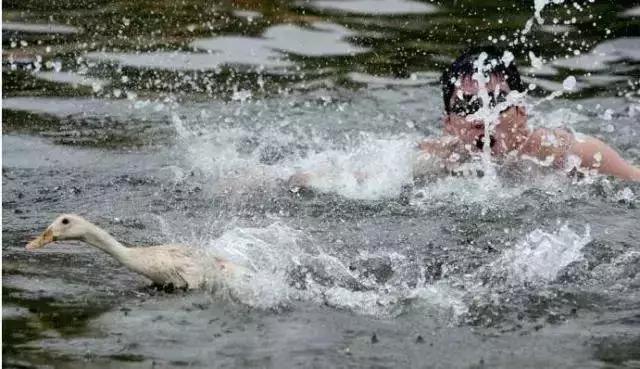 集美回忆合集,集美回忆