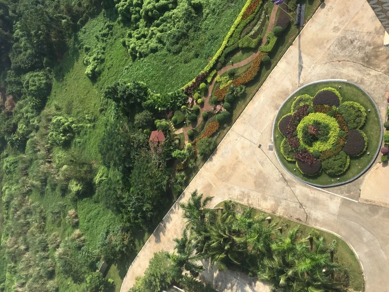 长寿乡，城中央，养老还看丽海阳光