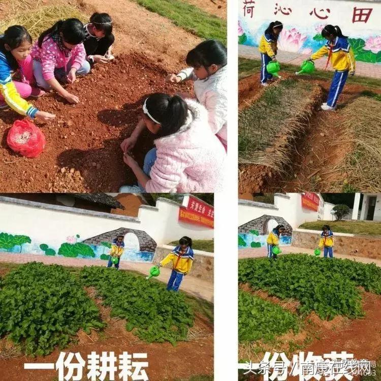 南康最美乡村小路,南康最美乡村航拍