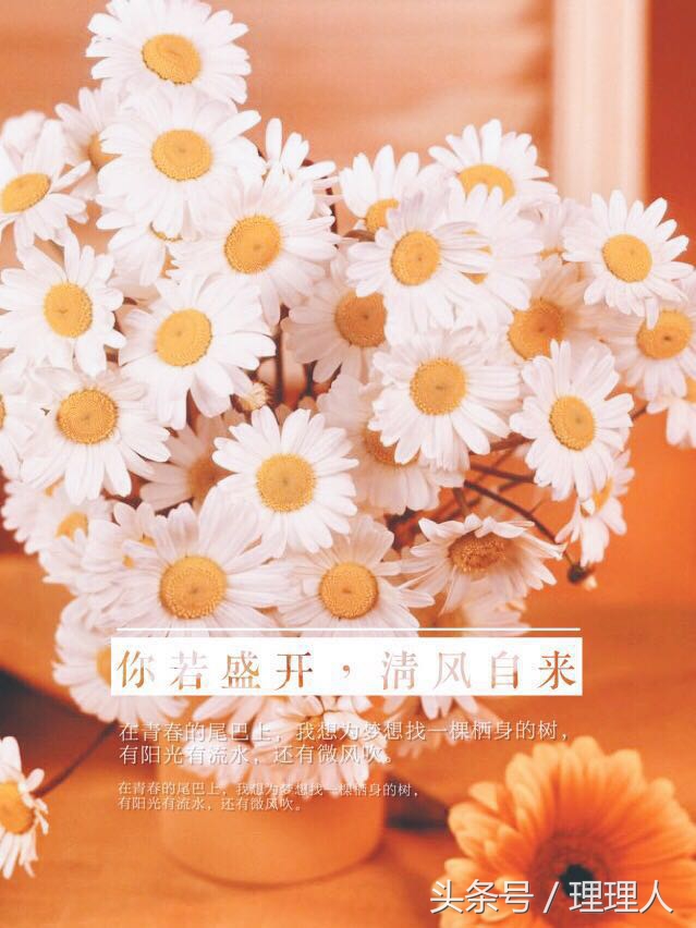 黄油相机怎么编辑竖排文字,黄油相机怎样做成文字视频