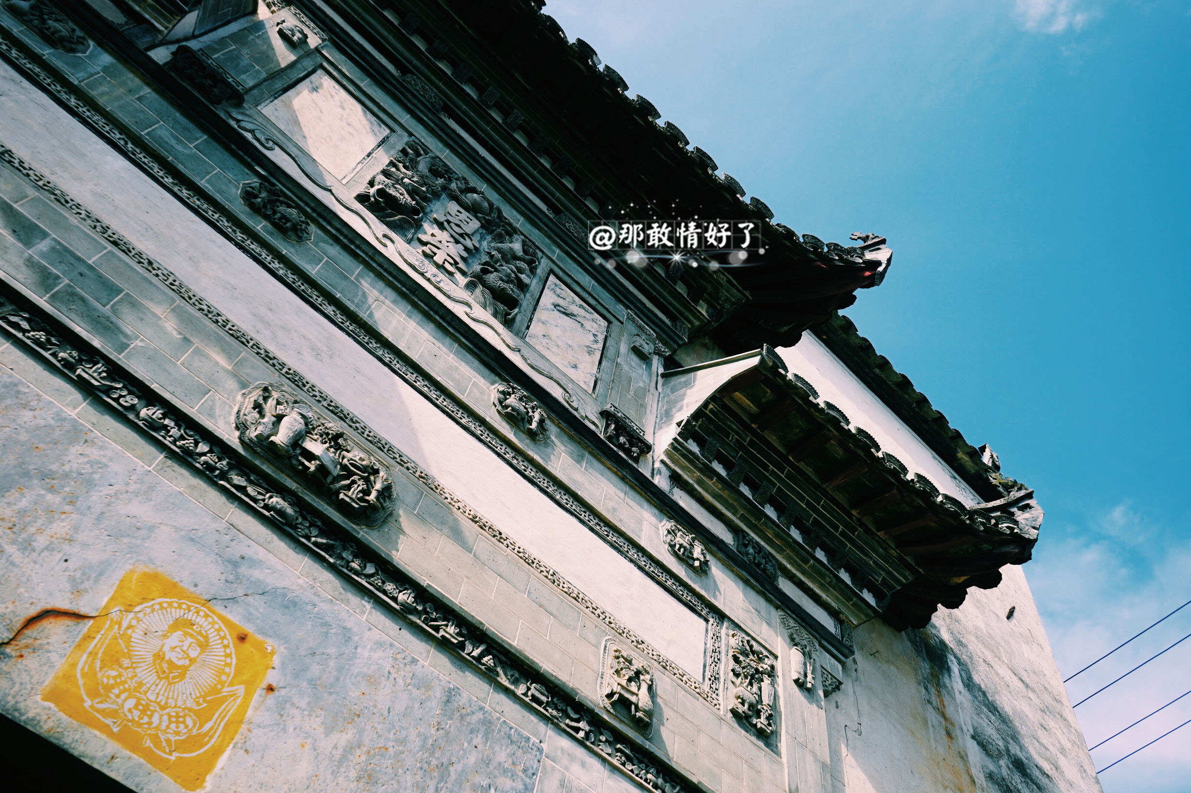 一家三口去南极旅行 (中国一家三口去南极旅游)