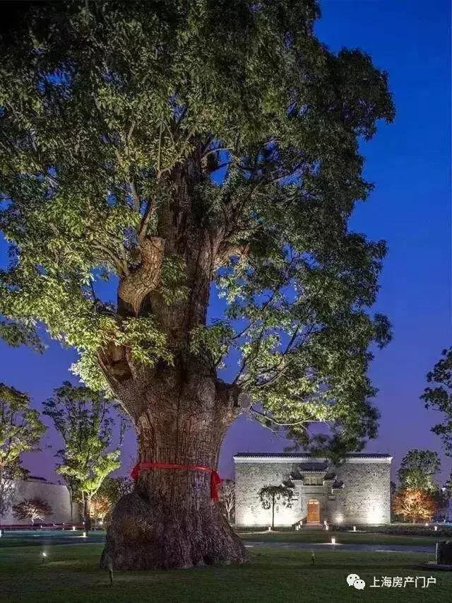 上海新建地标最新消息,上海即将开放的5个重磅新地标