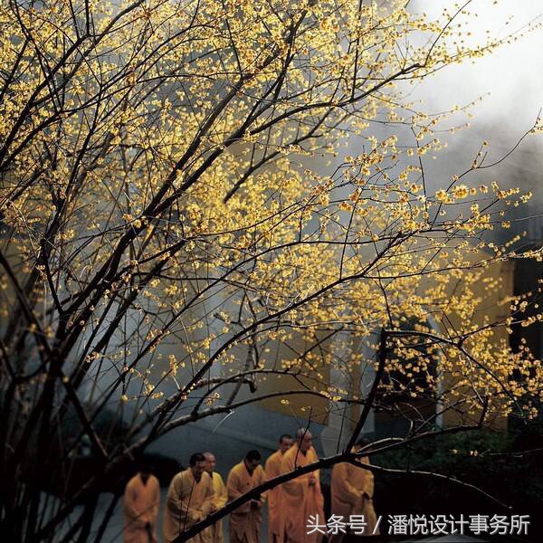 中国古典园林艺术欣赏及意境之美,欣赏中国的美