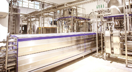 百悦谱恩绵羊奶,谱恩绵羊奶好消化吗