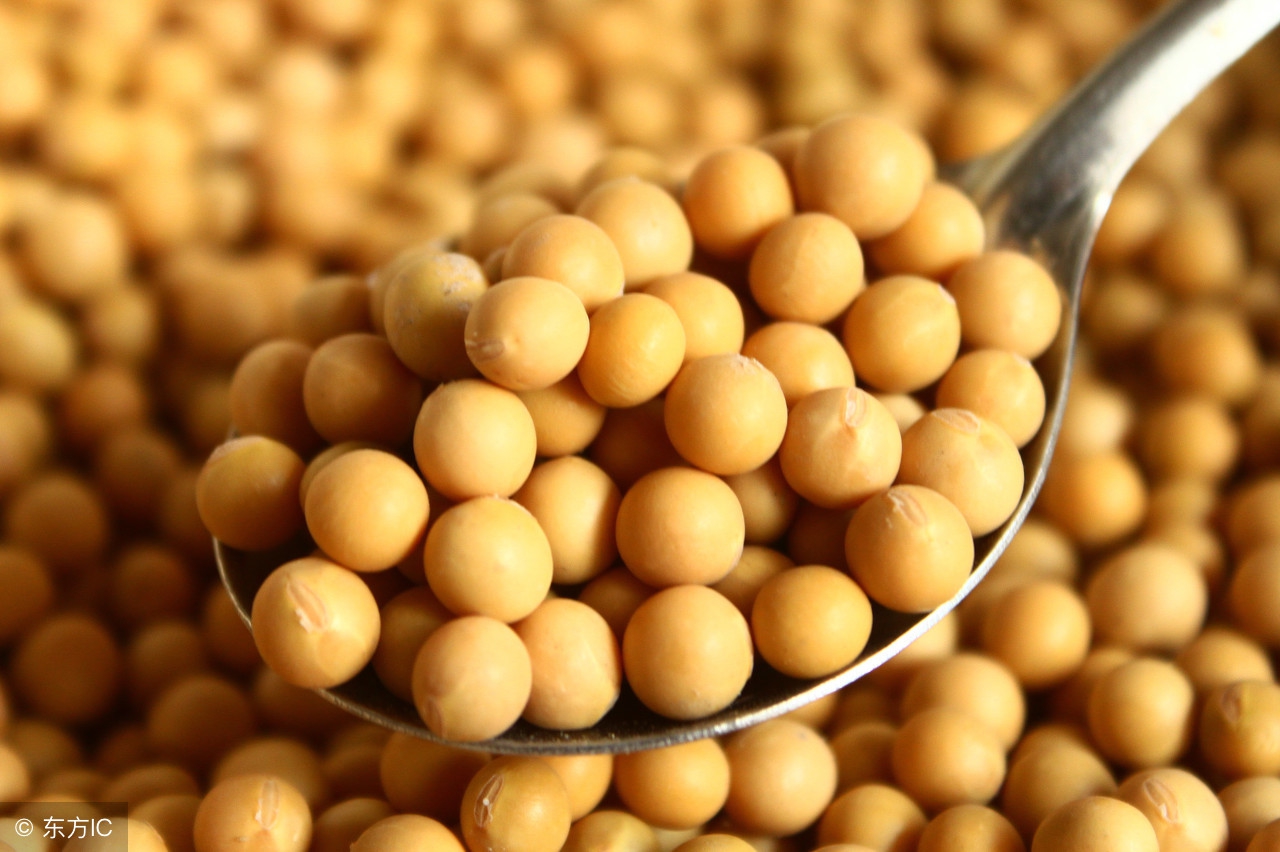 男性长期吃大豆异黄酮胶囊,绝经后大豆异黄酮能长期吃吗