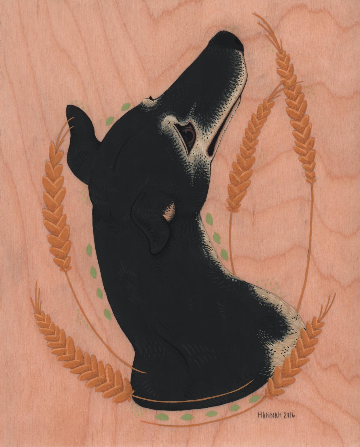 插画师hana美食插画,hannahjesus手绘插画