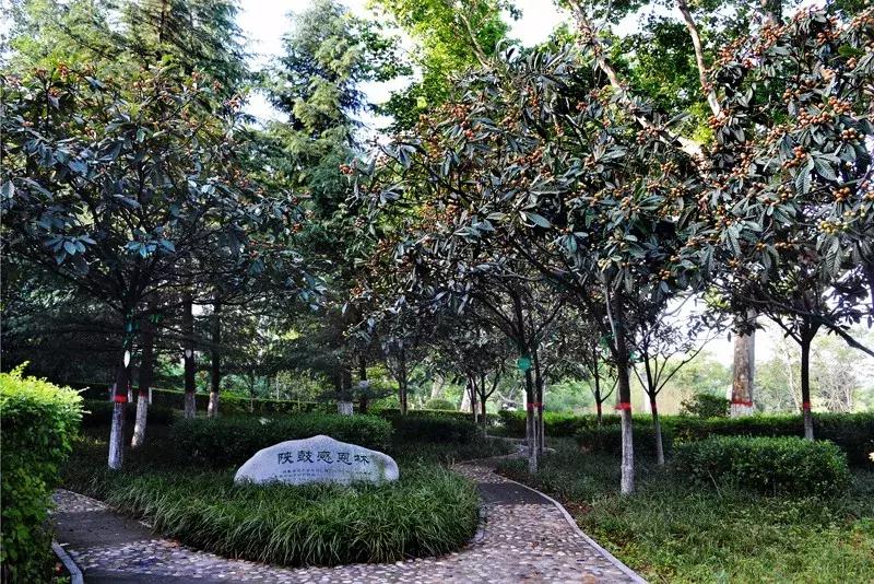 瑗垮畨骞存渶涓浗,瑗垮畨骞存渶涓浗鍐呭