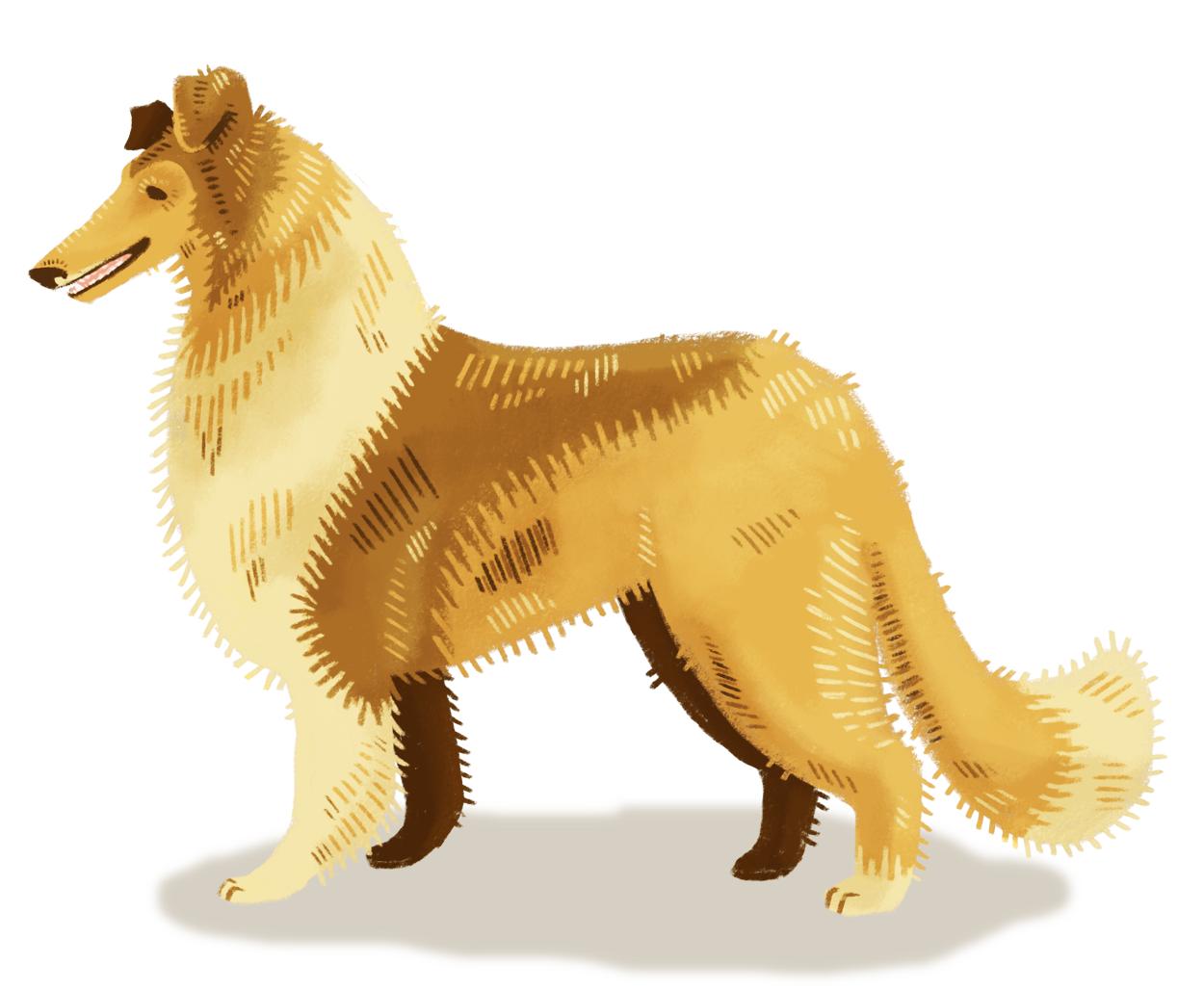 插画师hana美食插画,hannahjesus手绘插画