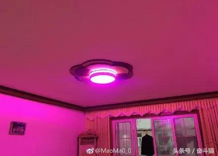 报告毛主席，我要换妈妈（看完笑死的宝宝们别找我，不关我事）~