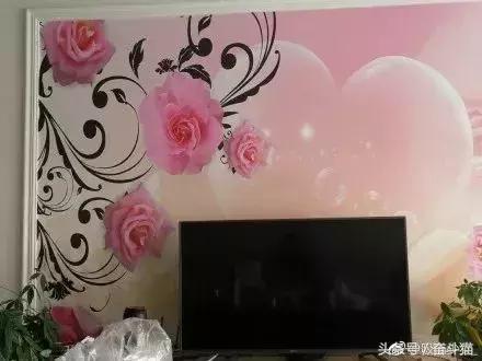 报告毛主席，我要换妈妈（看完笑死的宝宝们别找我，不关我事）~