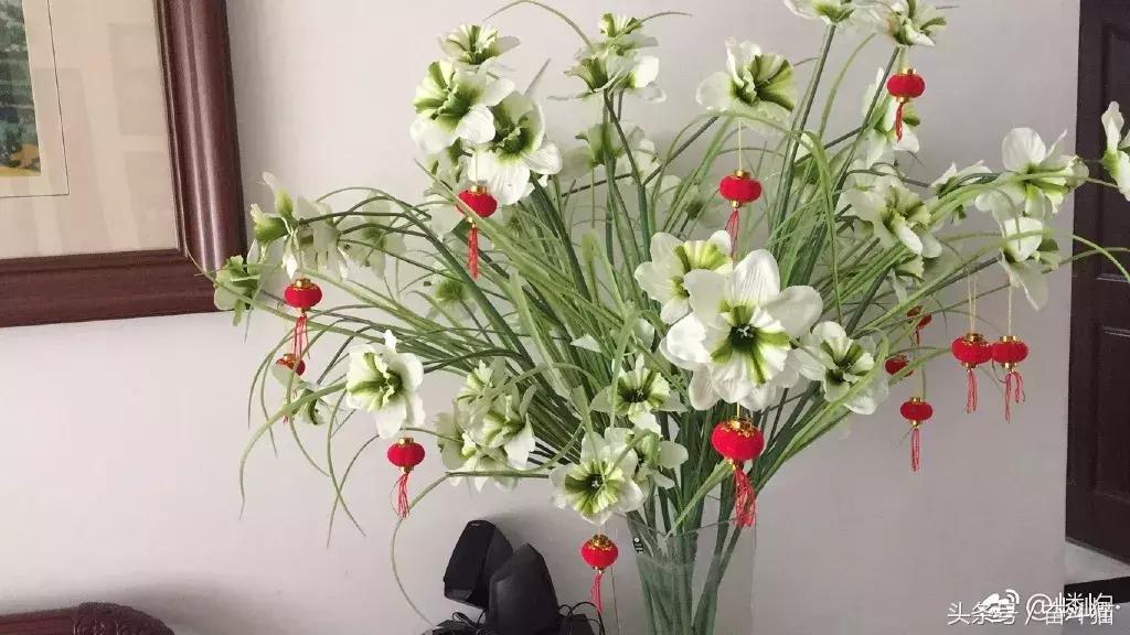 报告毛主席，我要换妈妈（看完笑死的宝宝们别找我，不关我事）~