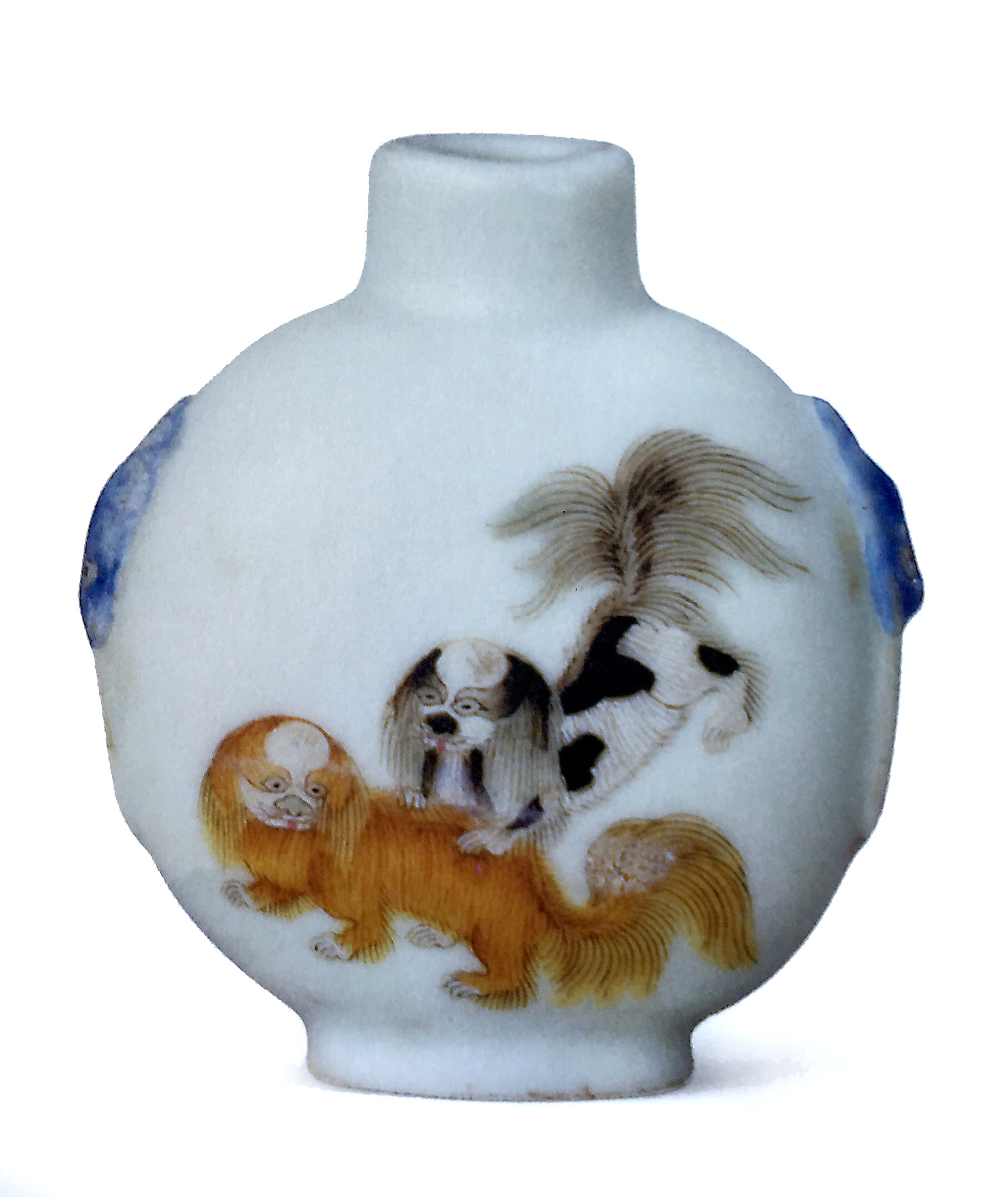 穿越千年看广东非遗服装服饰,穿越千年看动物