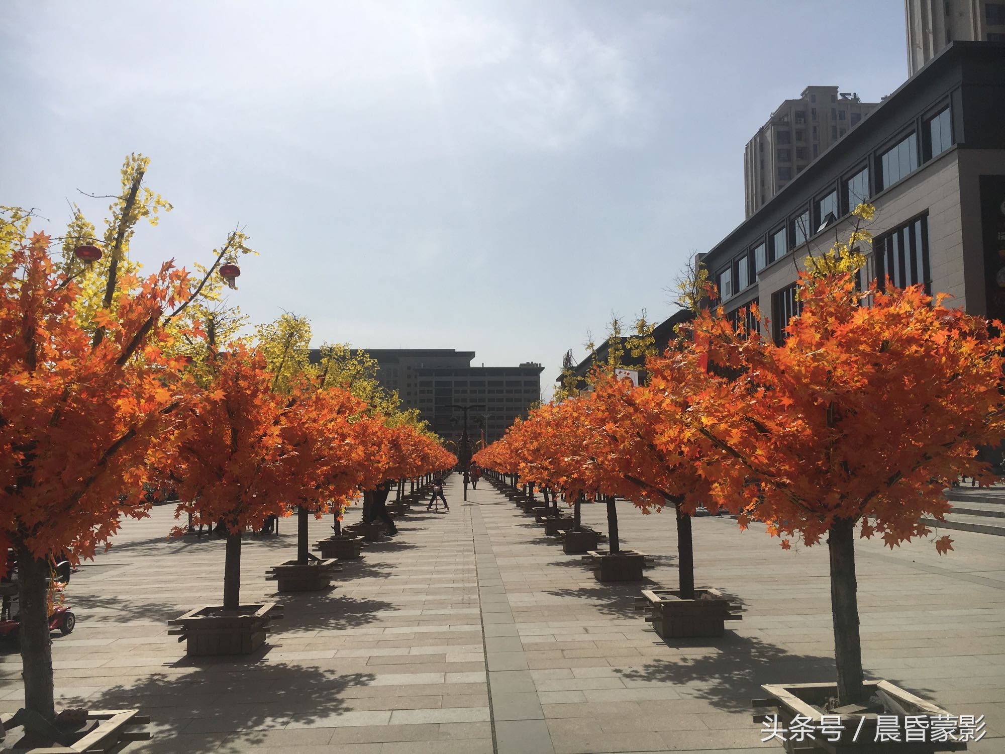 关中城市群文旅,宝鸡城市建设风貌
