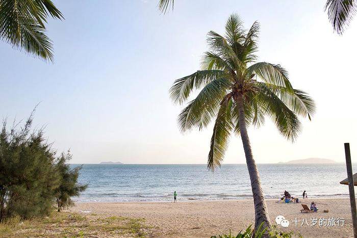 旅行义工vlog,义工旅行旅游攻略