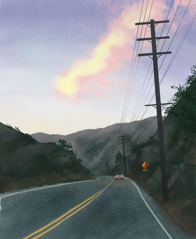 插画师hana美食插画,hannahjesus手绘插画