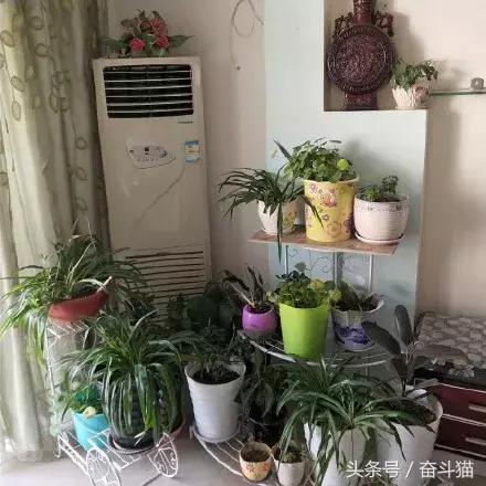 报告毛主席，我要换妈妈（看完笑死的宝宝们别找我，不关我事）~