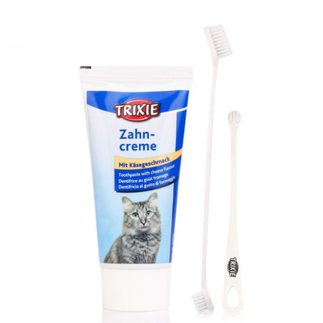 家里的主子太高冷？试试送这些礼物给它呀~