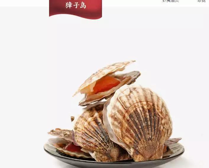 獐子岛扇贝跑了事件,獐子岛老板扇贝事件