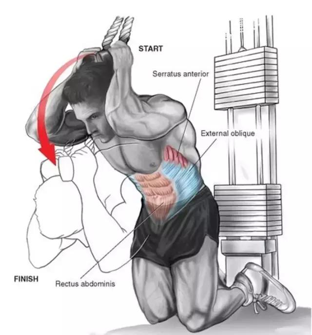 10个高效腹肌动作,10个高效腹肌锻炼方法