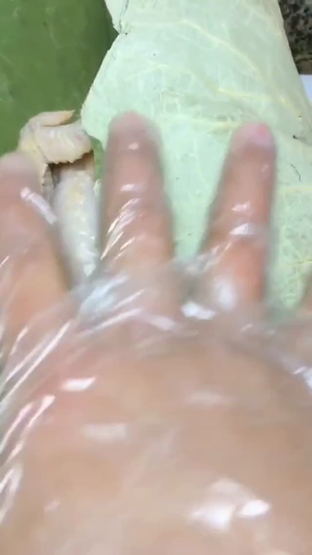 简单又美味的叫花鸡赶快做起来,外酥里嫩的叫花鸡怎么做