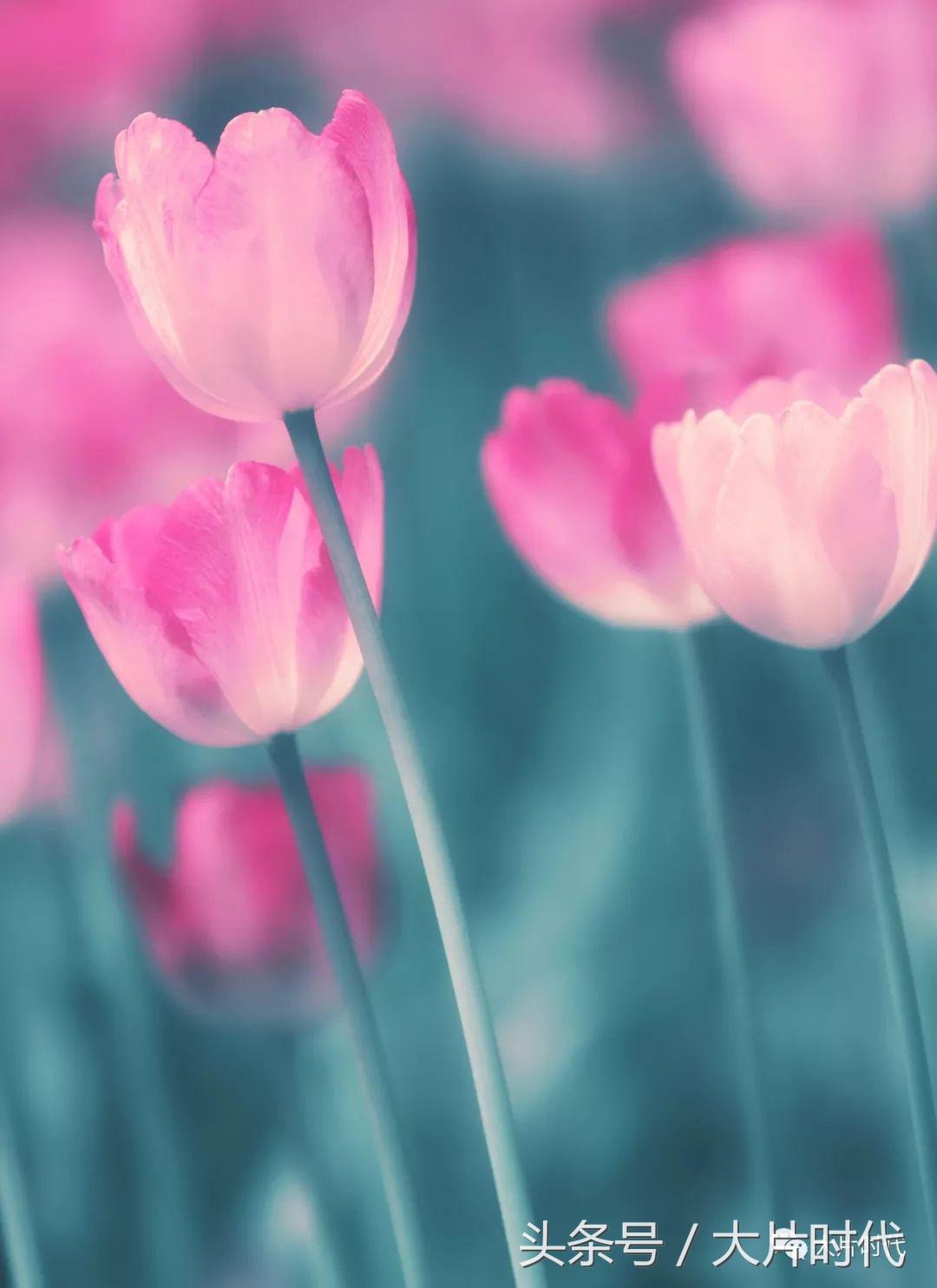 美丽中国摄影片段,38集美丽中国