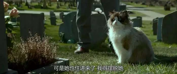 豆瓣高分国产电影推荐,推荐一部豆瓣高分的电影