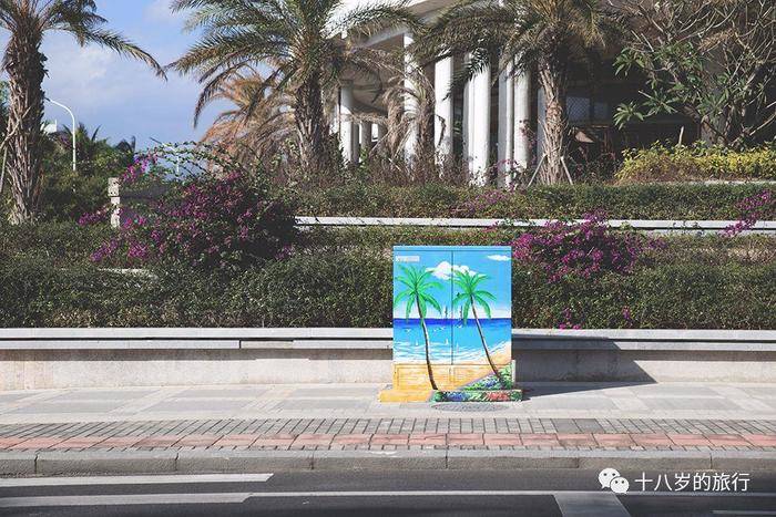 旅行义工vlog,义工旅行旅游攻略