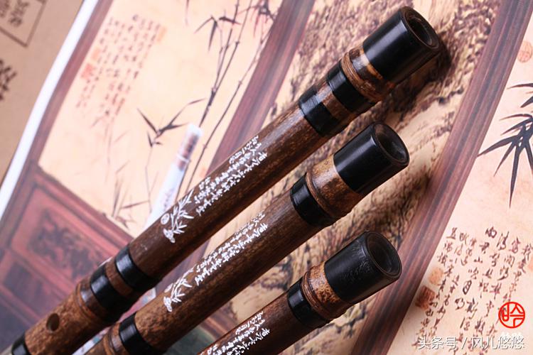 罗汉竹竹笋的功效与作用,毛竹麻竹箭竹楠竹的区别