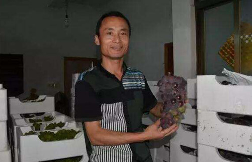 农村做什么生意赚钱创业项目,农村镇上加盟什么创业项目好