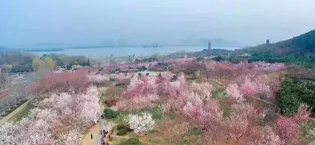 湖州这个季节去哪玩,湖州三月份适合去哪旅游