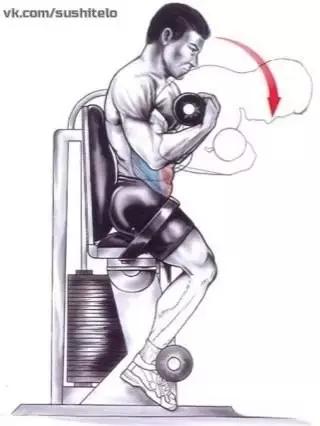 10个高效腹肌动作,10个高效腹肌锻炼方法