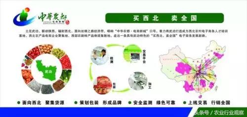 农村电商成功经验分享,不为人知的电商运营干货