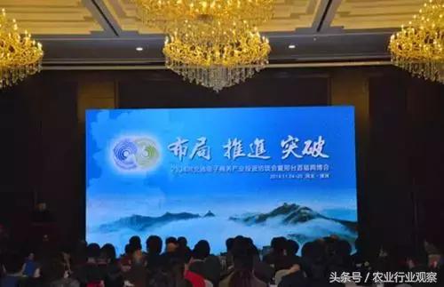 农村电商成功经验分享,不为人知的电商运营干货