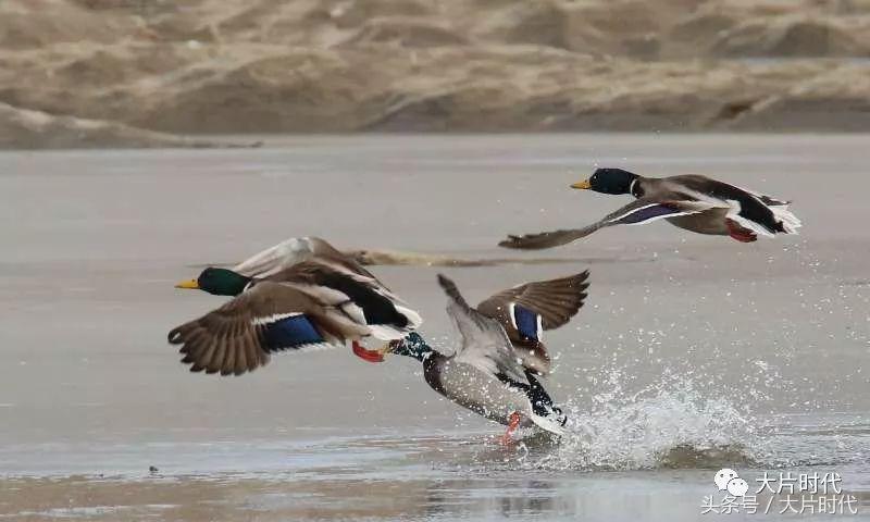 美丽中国摄影片段,38集美丽中国
