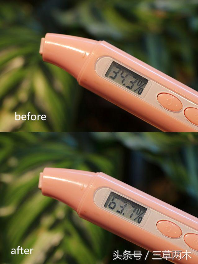 三草两木透水乳测评,值得拥有的三草两木