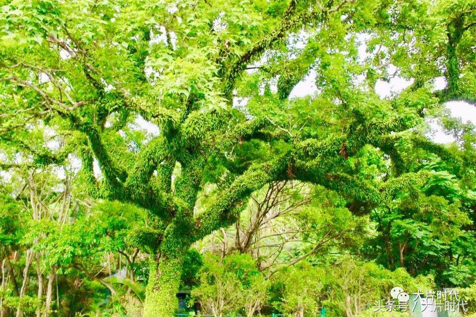 美丽中国摄影片段,38集美丽中国