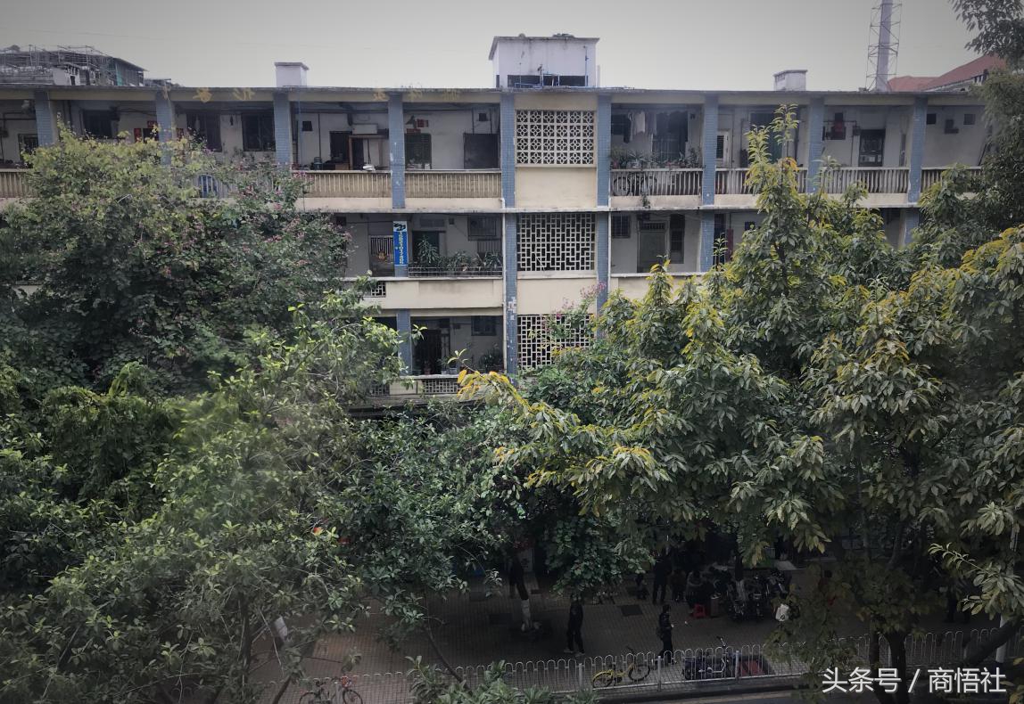 侯耀华案件结果,侯耀华的案件