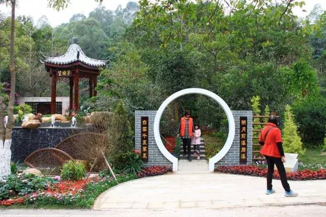 还没看的景点,大夫山最美景色